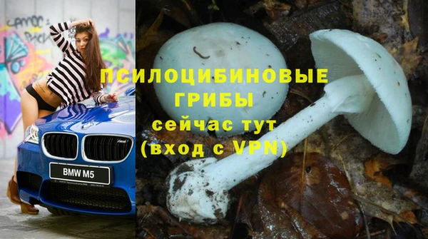 тгк Алексеевка