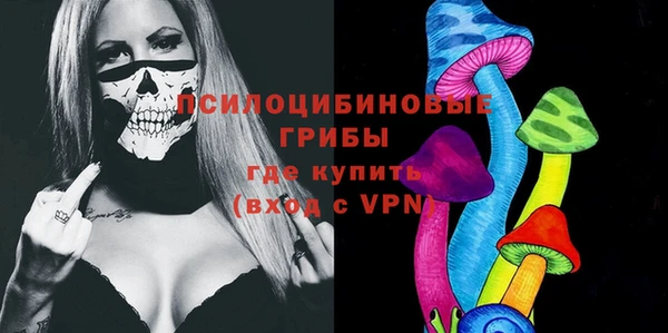 СК Абинск