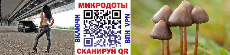 как найти закладки  Керчь  Псилоцибиновые грибы GOLDEN TEACHER 